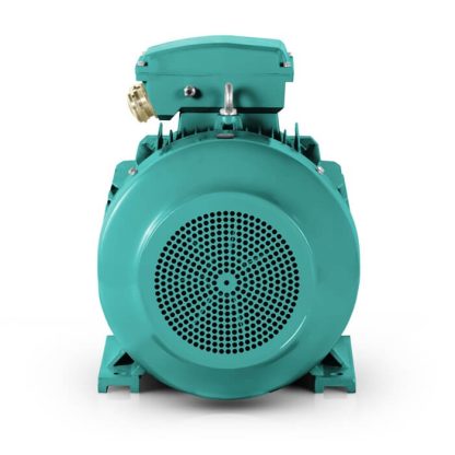 Průmyslový elektromotor 55kW České Budějovice 1LC 700ot.