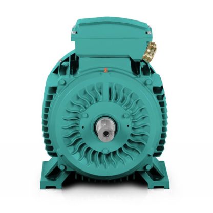 Průmyslový elektromotor 55kW České Budějovice 1LC 700ot.